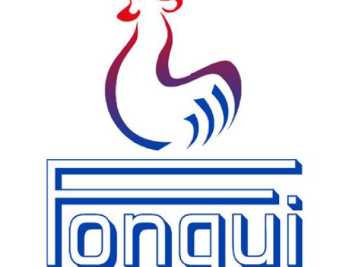 Fongui S.A.